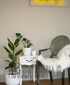 دکوراسیون داخلی منزل و آشپزخانه