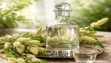 خواص عرق بیدمشک